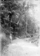 Clemenceau photographié seul au bord d'une route dans un paysage forestier